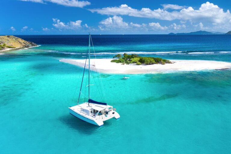 Which Is Better For 2025?